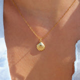 İrva Collection Deniz Kabuğu Kolye featuring a delicate shell pendant on a fine chain, perfect for beach-inspired jewelry style.