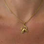 Gold Yengeç Kolye from İrva Collection featuring a detailed crab pendant on a delicate chain.