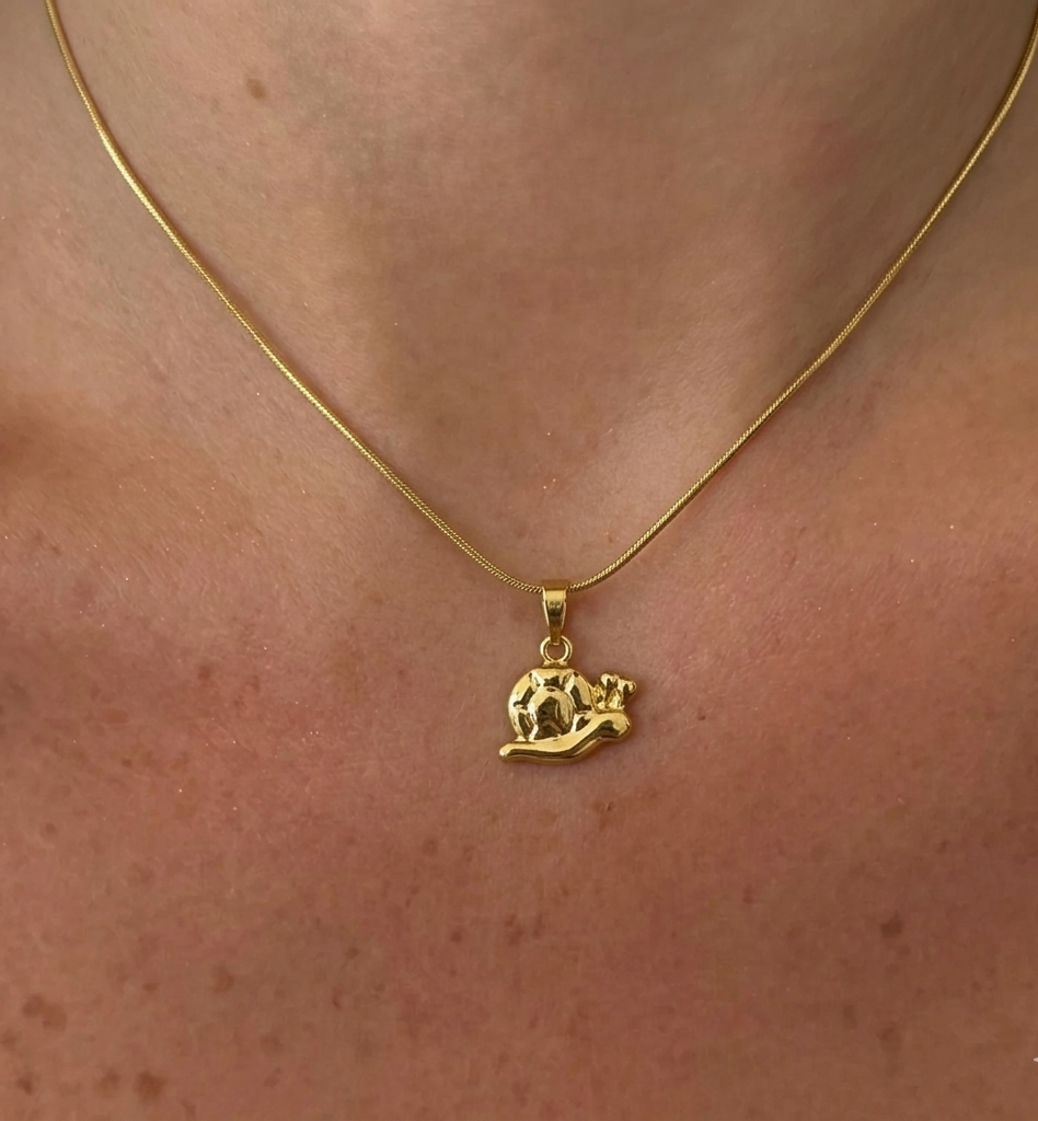 Silver snail pendant necklace from İrva Collection featuring a detailed snail charm on a delicate chain.