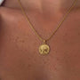 İrva Collection Kararmaz Madalyon Kolye featuring a silver pendant with intricate Gemini symbol design on a delicate chain.