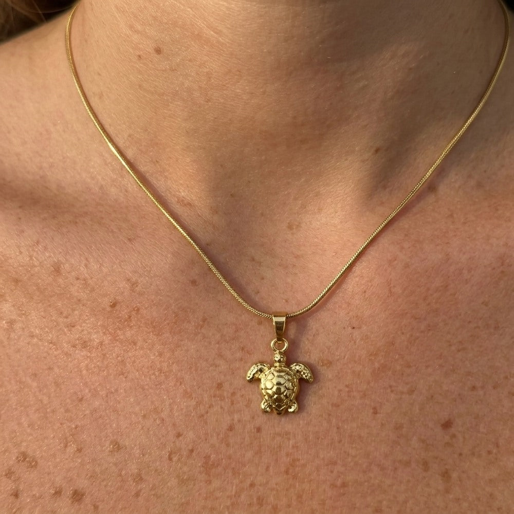 İrva Collection Kaplumbağa Kolye featuring a detailed turtle pendant on a silver chain, close-up view of the jewelry.