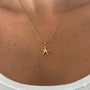 İrva Collection Kararmaz Deniz Yıldızı kolye with a starfish pendant on a delicate chain, close-up view of the jewelry.
