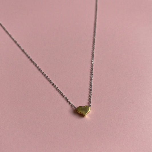 Çift Renk Çelik Kalp Kolye