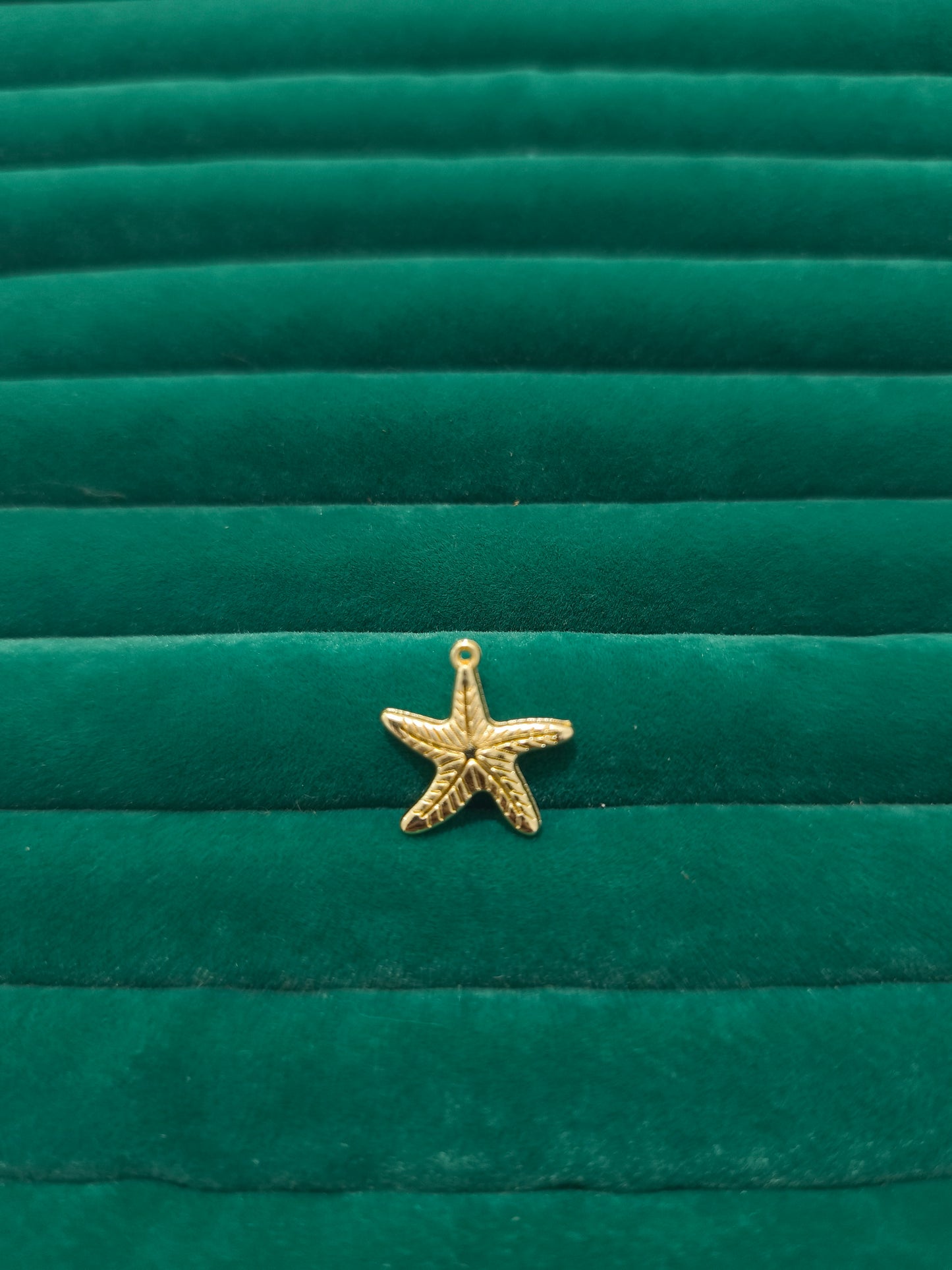 Deniz Yıldızı Charm