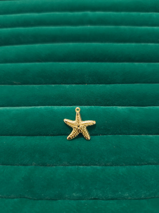 Deniz Yıldızı Charm