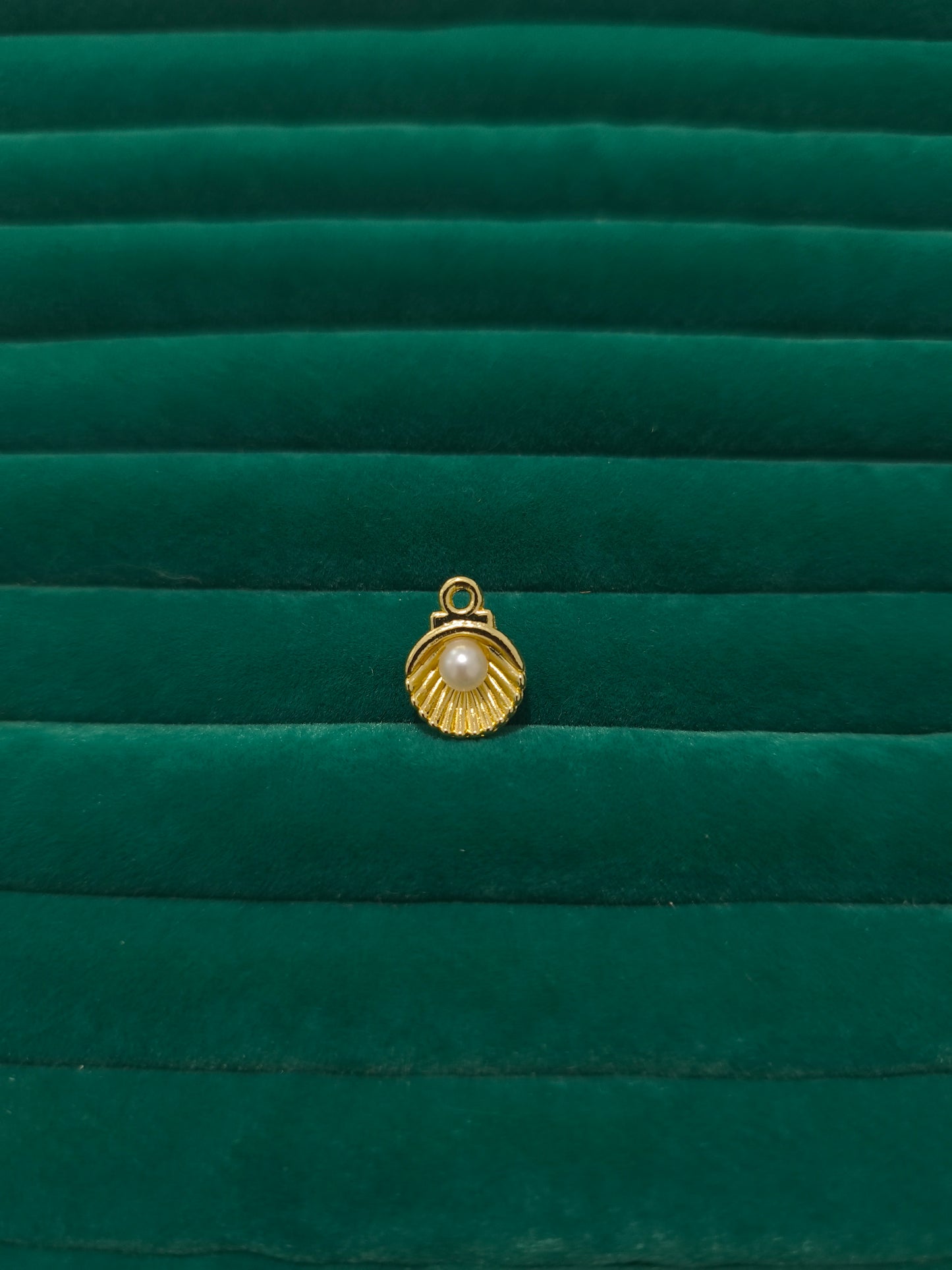 İncili Deniz Kabuğu Charm