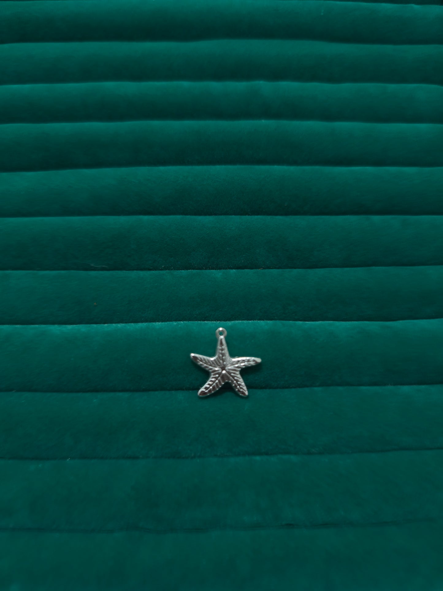 Silver Deniz Yıldızı Charm