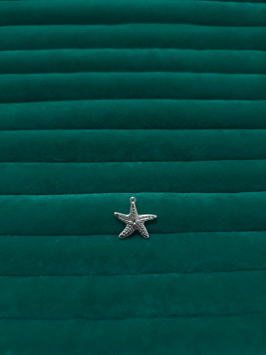 Silver Deniz Yıldızı Charm