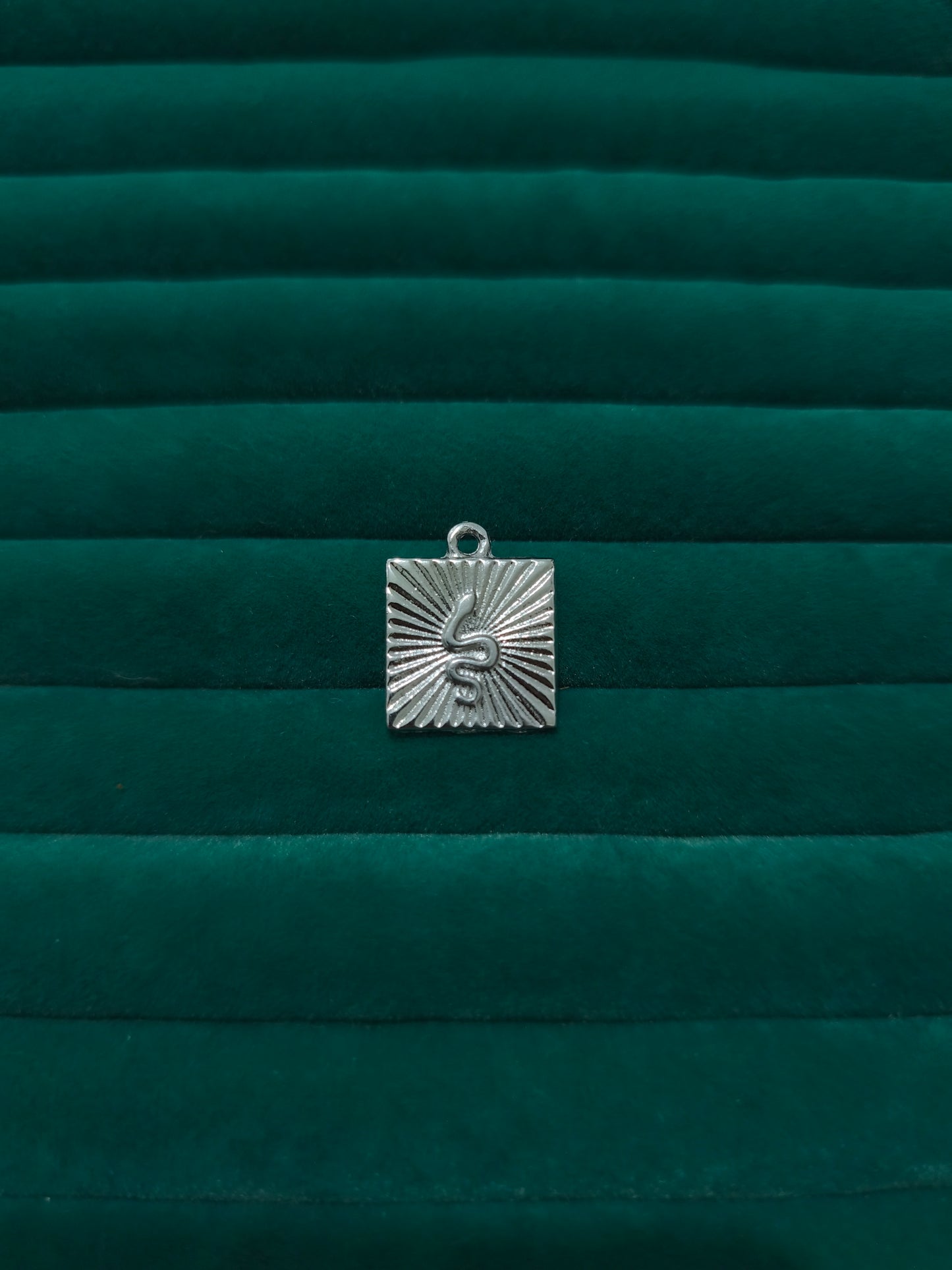 Silver Yılan Plaka Charm