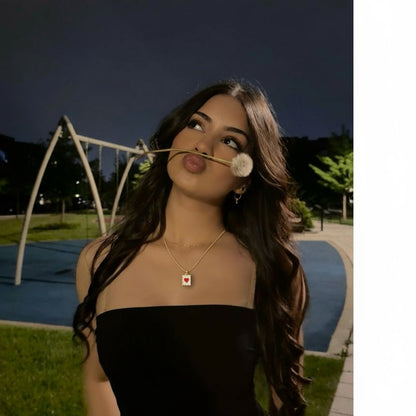 Çelik Kalp Plaka Kolye