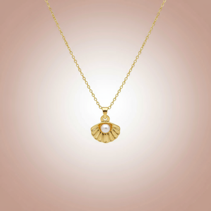 Çelik İncili Deniz Kabuğu Kolye