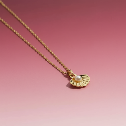 Çelik İncili Deniz Kabuğu Kolye