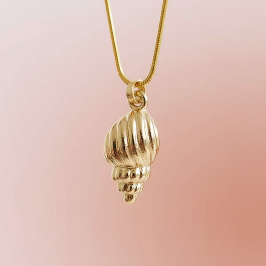 Çelik Deniz Kabuğu Kolye