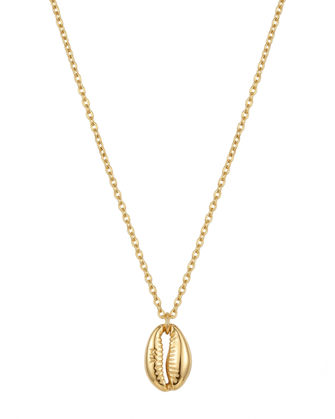 Gold Denizkabuğu Kolye